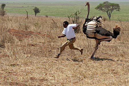 run after